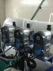 > </div>
<div class=